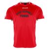 Puma Match Jersey Thumbnail